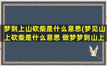 梦到上山砍柴是什么意思(梦见山上砍柴是什么意思 做梦梦到山上砍柴好不好)